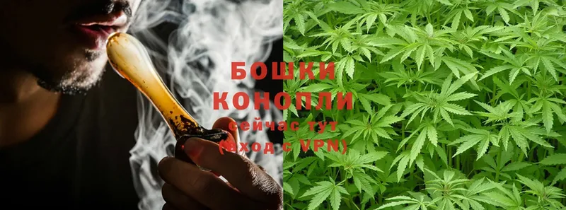 Конопля White Widow  Снежногорск 